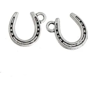 JGFinds Dijes de herradura de la suerte occidental para_3