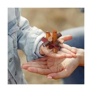 Sharp Brain Zone Rompecabezas de madera para adultos y_6