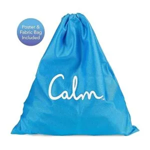 Rompecabezas tranquilo de 300 piezas para relajación_5