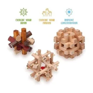 Sharp Brain Zone Rompecabezas de madera para adultos y_3