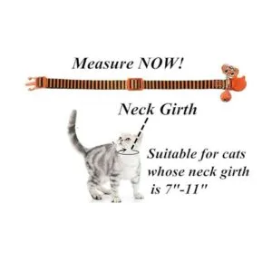 Collar de gato con campanilla y calabaza_4