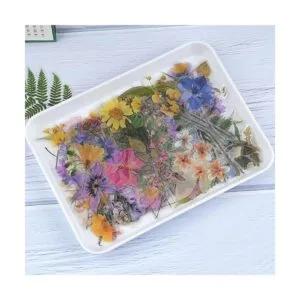 RisyPisy 160 calcomanías naturales para álbumes de_6