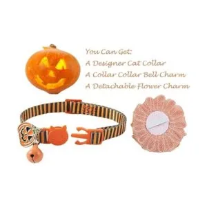 Collar de gato con campanilla y calabaza_3