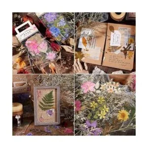 RisyPisy 160 calcomanías naturales para álbumes de_5