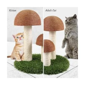 Odoland Rascador para gatos con forma de seta natural_6