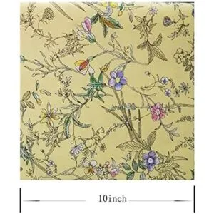 Paquete de 50 cuadrados de tela de algodón de 10 x 10