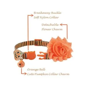 Collar de gato con campanilla y calabaza_2