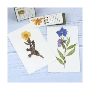 RisyPisy 160 calcomanías naturales para álbumes de_2