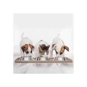 DogBuddy Dog Food Mat Waterproof Dog Bowl Mat Silicone_5