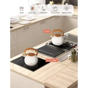 Tetera BELANKO de 2.7 cuartos de galón para estufa mango_6