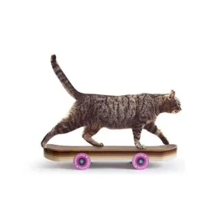 Serie UCK UK casa de juego para gatos