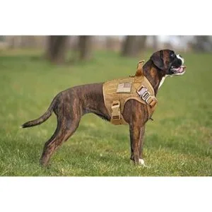 Stpiatue Chaleco táctico para perro arnés a prueba de_5