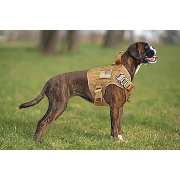 Stpiatue Chaleco táctico para perro arnés a prueba de_5