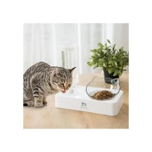 Marchul Tilted Cat Food Bowl Set Raised Cat Bowls for_2