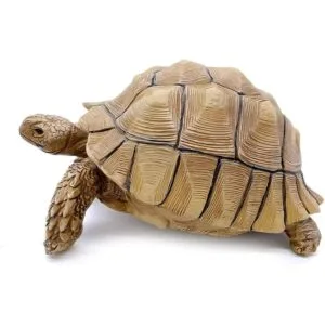 PPCLION Colección de figuras de estatua de tortuga