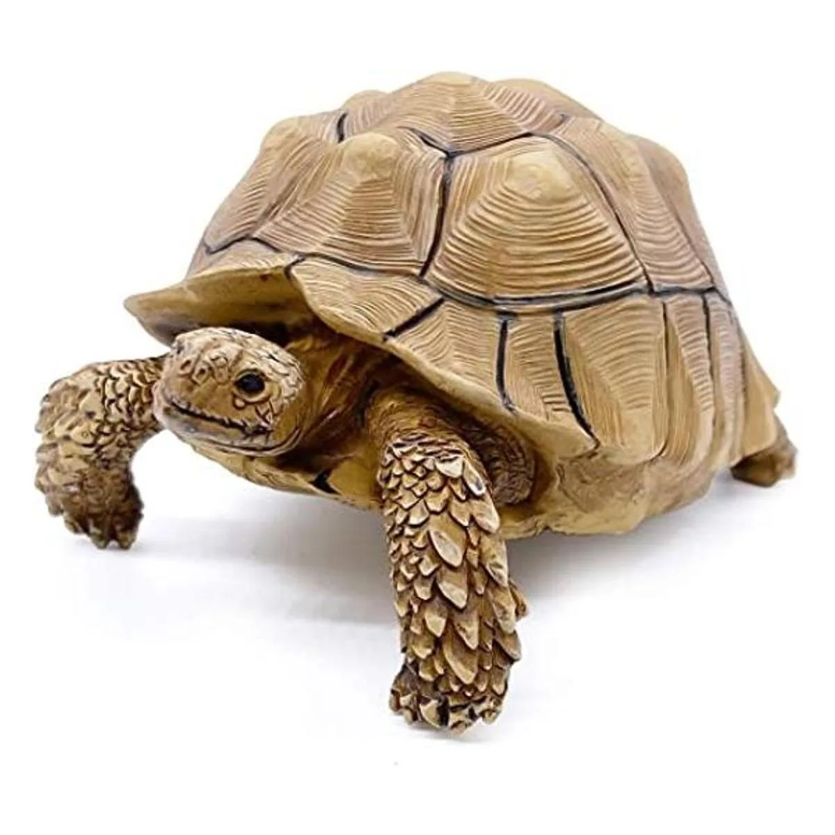 PPCLION Colección de figuras de estatua de tortuga