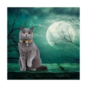 Collar de gato de Halloween collar de gato con campana
