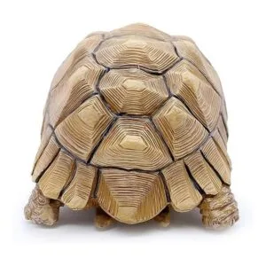 PPCLION Colección de figuras de estatua de tortuga