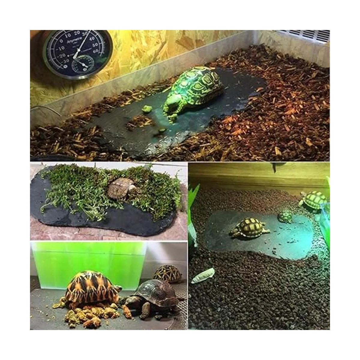 Tfwadmx plataforma de canasta de reptiles placa de roca