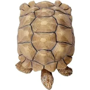 PPCLION Colección de figuras de estatua de tortuga