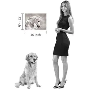 Horse Canvas Wall Art Animal in The Wind Artwork Picture