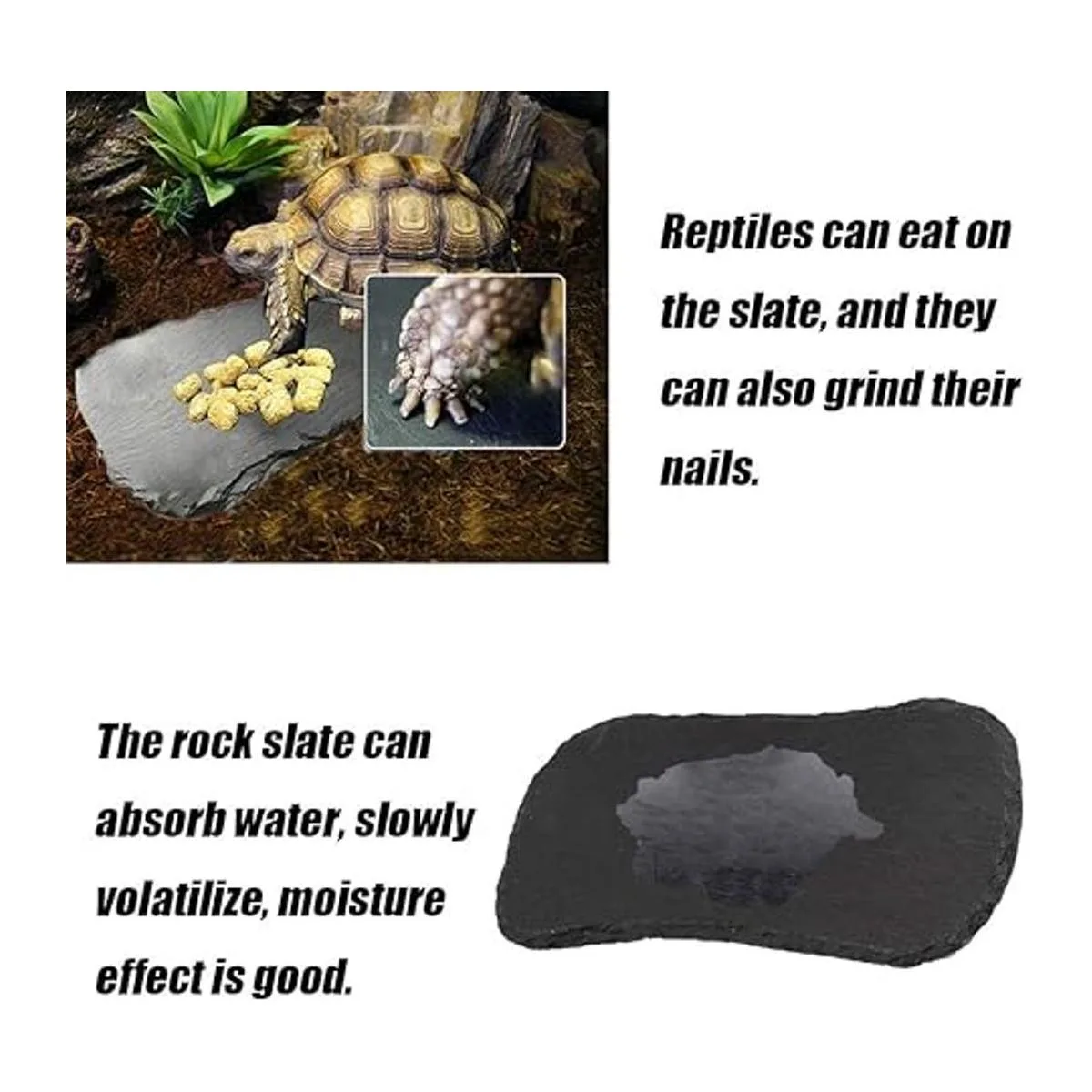 Tfwadmx plataforma de canasta de reptiles placa de roca