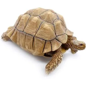 PPCLION Colección de figuras de estatua de tortuga