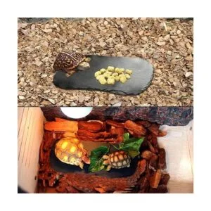 Tfwadmx plataforma de canasta de reptiles placa de roca