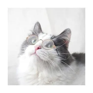 Gafas de sol redondas de metal para mascotas 10 unidades