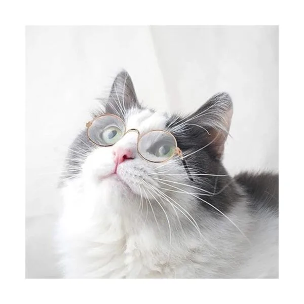 Gafas de sol redondas de metal para mascotas 10 unidades