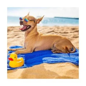 Gafas de sol redondas de metal para mascotas 10 unidades