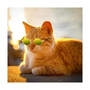 Gafas de sol redondas de metal para mascotas 10 unidades
