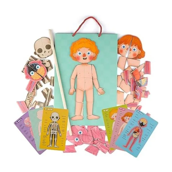 Rompecabezas de cuerpo humano para niños pequeños 90