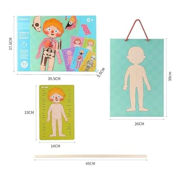 Rompecabezas de cuerpo humano para niños pequeños 90