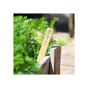 Paquete de 12 hierbas de cocina variadas. Huray Rayho_5