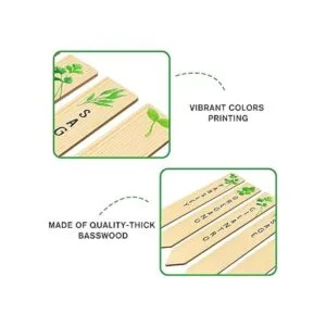 Paquete de 12 hierbas de cocina variadas. Huray Rayho_3