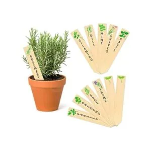 Paquete de 12 hierbas de cocina variadas. Huray Rayho_1