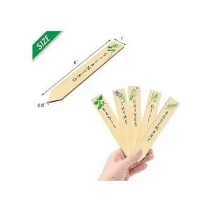 Paquete de 12 hierbas de cocina variadas. Huray Rayho_2