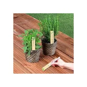 Paquete de 12 hierbas de cocina variadas. Huray Rayho_4