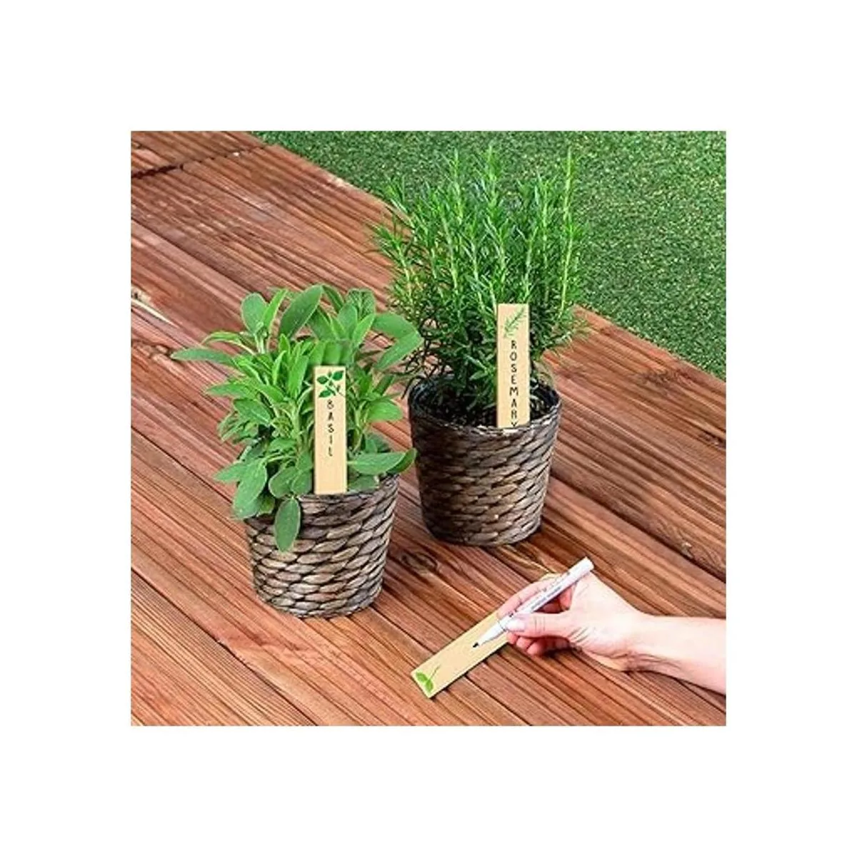 Paquete de 12 hierbas de cocina variadas. Huray Rayho_4