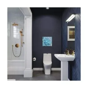 Decoración de baño de suculentas azules arte de pared_4