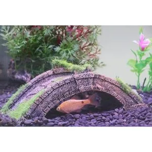 AQUA KT Fish Tank Decor ArchBridge SinglePlank Drawbridge