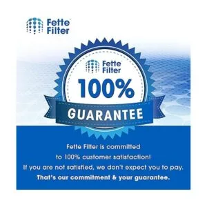 Fette Filter Filtro de vacío secundario para Garage Pro