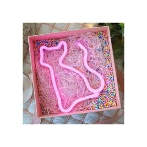 Letreros LED de neón para gatos decoración de pared