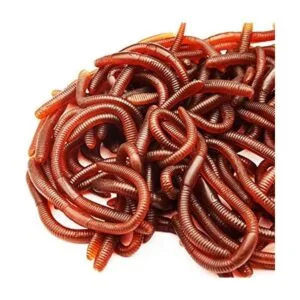 Cotiny 60 piezas falsas de lombriz de tierra juguete de_1