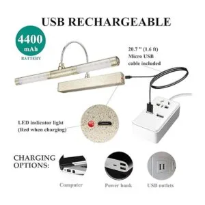 BIGMONAT Luces de imagen inalámbricas para pinturas_5