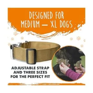 Mighty Paw Collar táctico para perro collar K9 ajustable_5