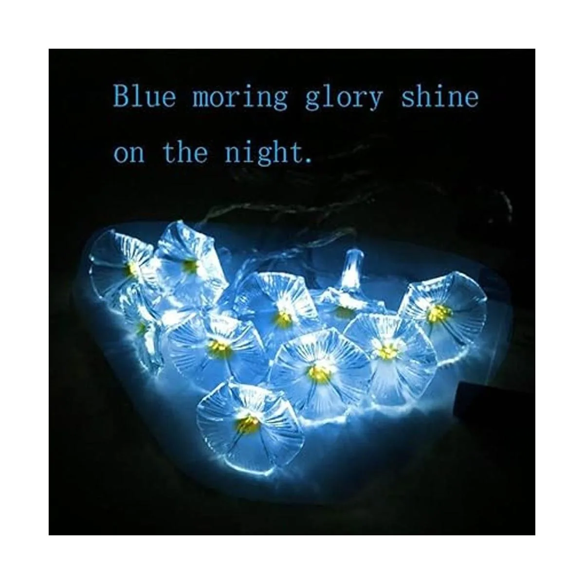 Ibdone Guirnalda de luces LED solares de 10 luces LED