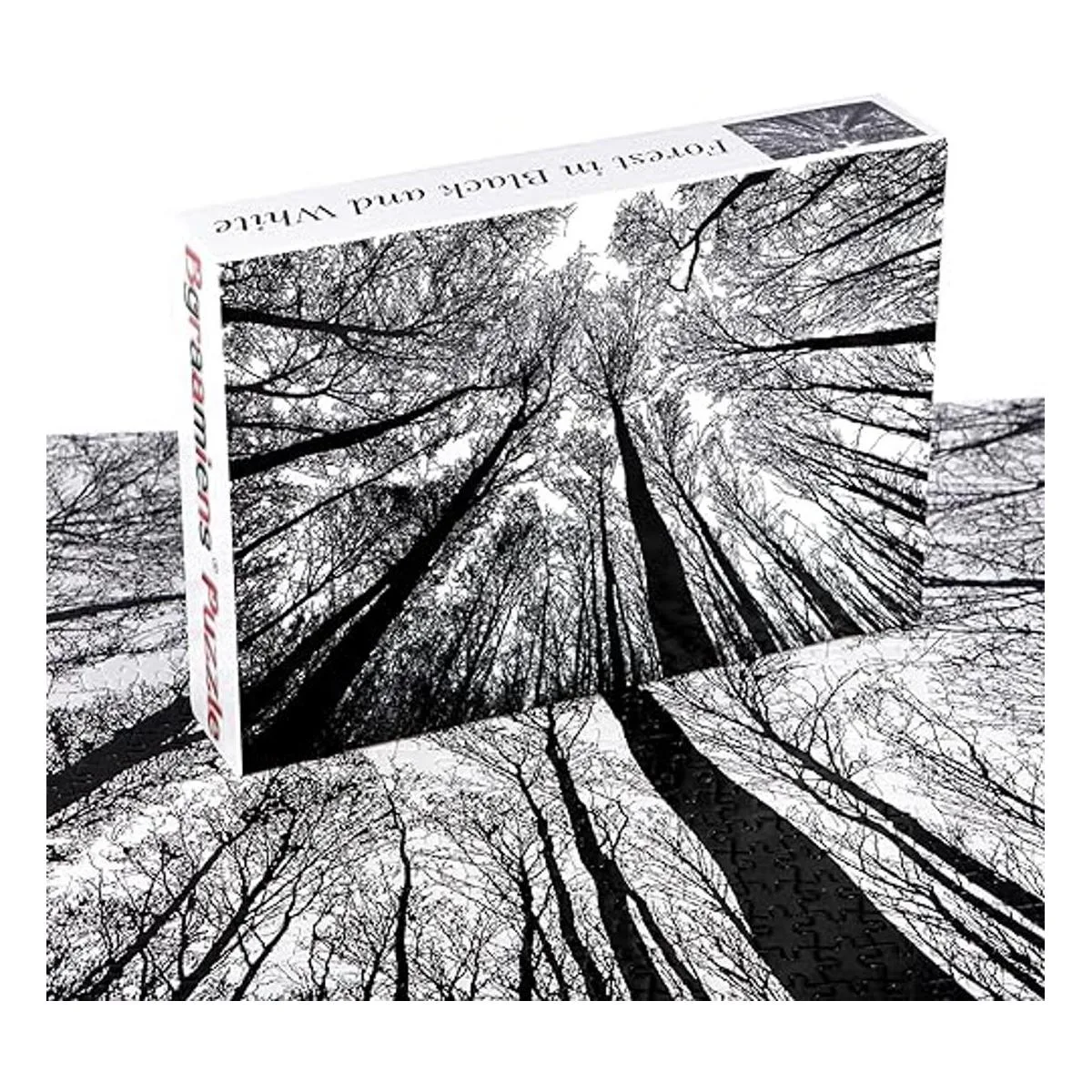 Bgraamiens Puzzle Bosque en blanco y negro 1000 piezas_2