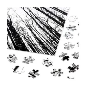 Bgraamiens Puzzle Bosque en blanco y negro 1000 piezas_5